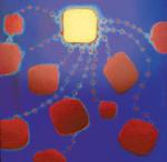 Etablir la paix dans ma vie quotidienne