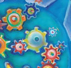 Vivre ensemble en tant qu’Eglise ou communauté