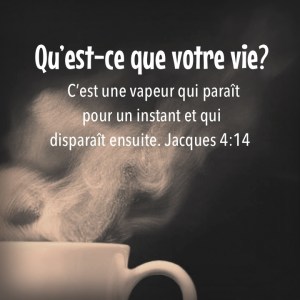 Qu'est-ce que votre vie?
