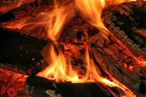 "Ils se dirent l'un à l'autre: «Notre cœur ne brûlait-il pas en nous lorsqu'il nous parlait en chemin et nous expliquait les Ecritures ?»" La Bible, Luc 24:32