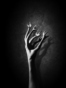 "En effet, les commandements: Tu ne commettras pas d'adultère, tu ne commettras pas de meurtre, tu ne commettras pas de vol, [tu ne porteras pas de faux témoignage,] tu ne convoiteras pas, ainsi que tous les autres, se résument dans cette parole: Tu aimeras ton prochain comme toi-même" La Bible, Romains 13:9