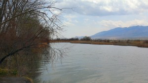 "Car ainsi parle l'Eternel: Je vais faire affluer la paix vers elle comme un fleuve, la gloire des nations tout comme un torrent qui déborde. Vous serez allaités, et portés sur la hanche, bercés sur les genoux." La Bible, Ésaïe 66:12