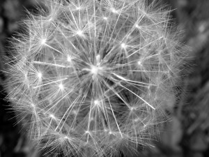 "Voici, Je lui donnerai la guérison et la santé, Je les guérirai, et Je leur ouvrirai une source abondante de paix et de fidélité."La Bible, Jérémie 33:6