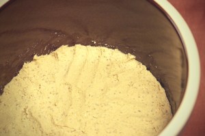 "Le pot de farine ne se vida pas et la jarre d'huile non plus, conformément à la parole que l'Eternel avait prononcée par l'intermédiaire d'Elie." la Bible, 1 Rois 17:16